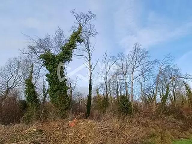 Terrain vente à Meaux, Germigny-l'evêque