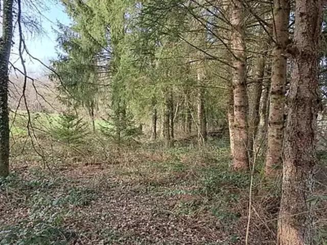 Terrain vente à Gernelle, Ardennes