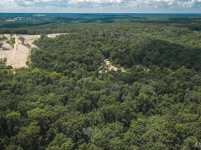 Land for sale in Macks Creek, Missouri