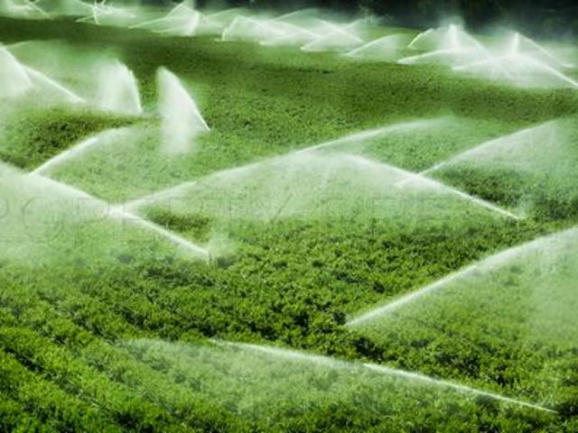 Villa vente à Condom, Nogaro