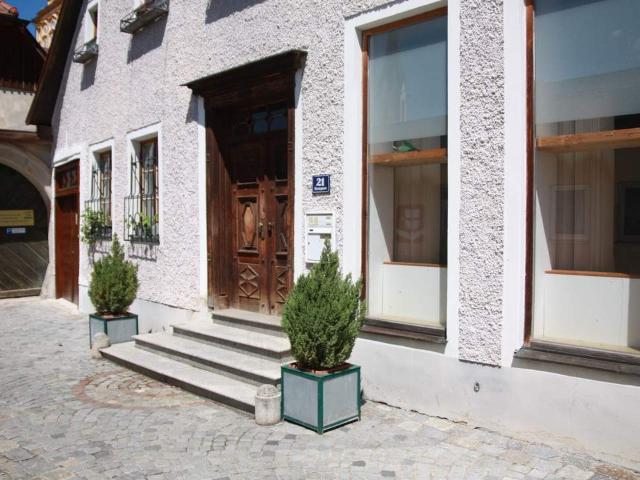 Gewerbe mieten in Katastralgemeinde Melk, Melk