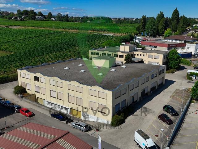 Büro kaufen in Aubonne, Waadt