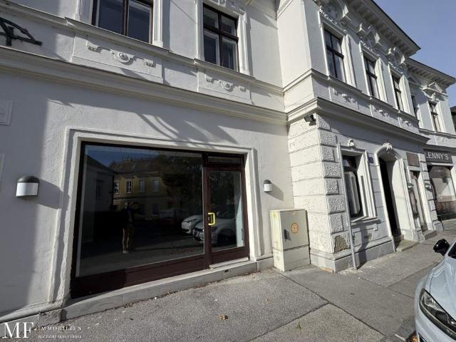 Gewerbe mieten in Mödling, Bezirk Mödling
