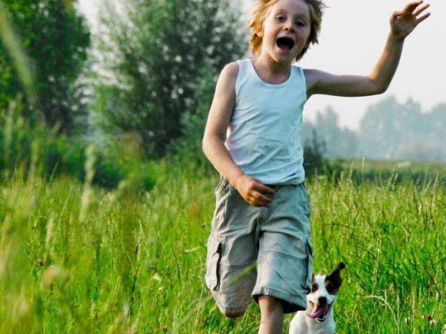 Haus kaufen in Kapfenstein, Steiermark