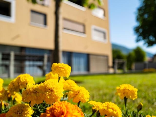 Wohnung mieten in Reconvilier, Bern