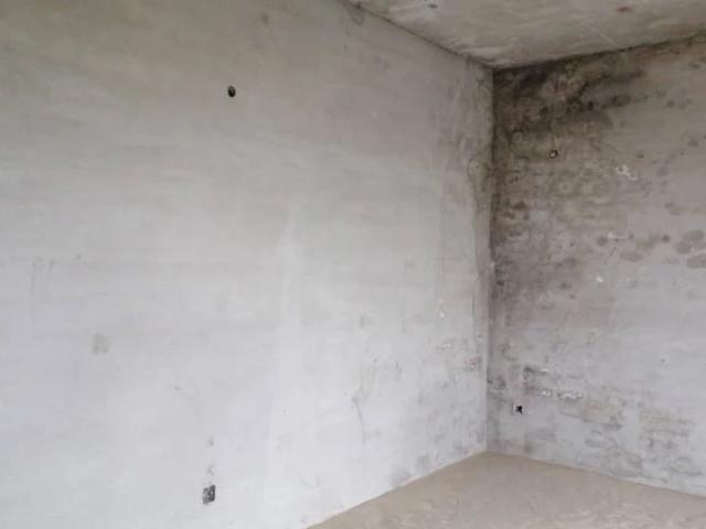 House for sale in جوبلی ٹاؤن, مُصلّی آبا