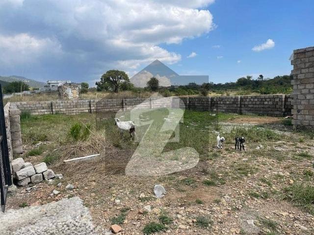 Property for rent in Islamabad