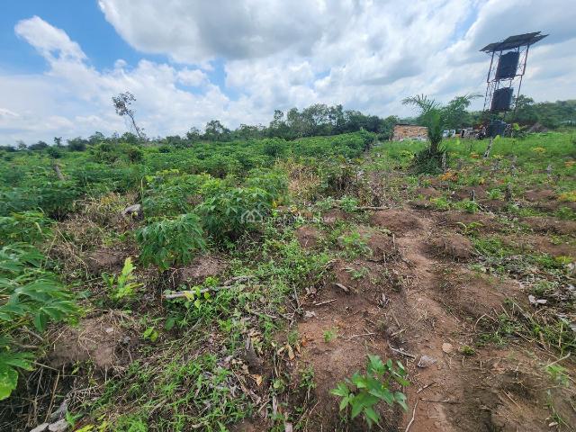 Land for sale in Odeda, Ogun