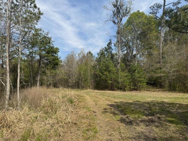 Land for sale in Pinopolis, South Carolina