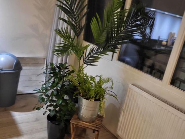 Appartement te huur in De Hagen, Vianen