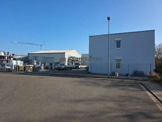 Industrie kaufen in Frankenthal (Pfalz), Frankenthal