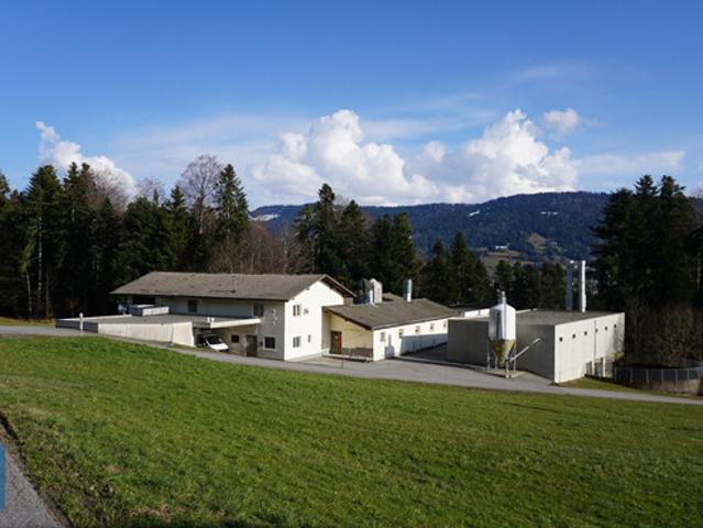 Immobilie kaufen in Sulzberg, Vorarlberg