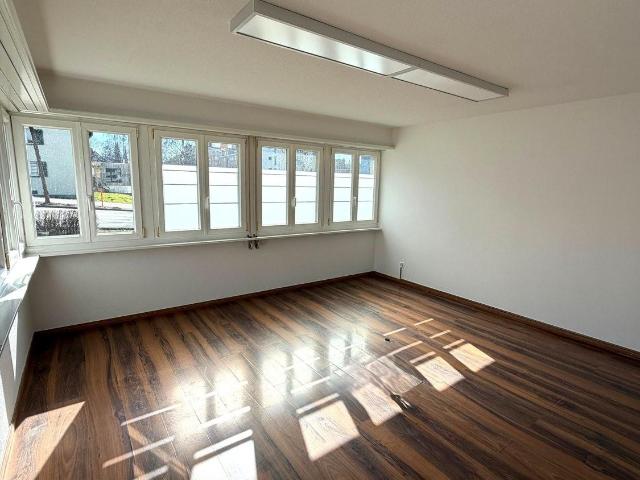 Immobilie kaufen in Wetzikon (ZH), Zürich