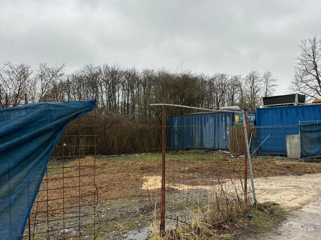 Erdgeschosswohnung mieten in Köln, Nordrhein-Westfalen