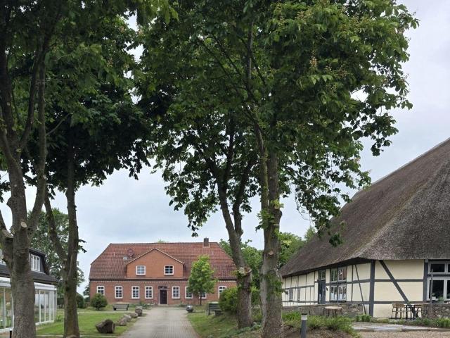 Büro mieten in Damshagen, Mecklenburg-Vorpommern