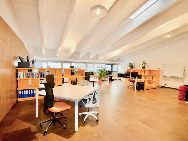 Büro kaufen in Arbedo-Castione, Tessin