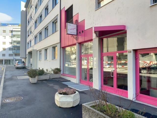 Wohnung kaufen in Les Mayens-de-Sion, Wallis