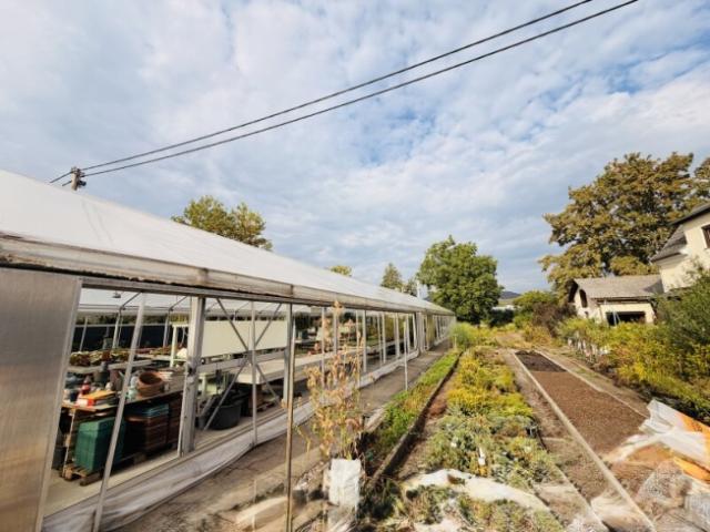 Gewerbe kaufen in Straßgang, Gersdorf-Feistritz