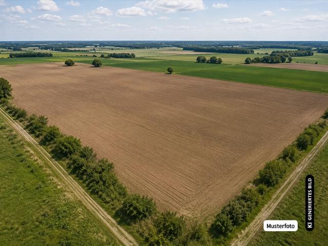Landwirtschaft kaufen in Zschepen, Delitzsch