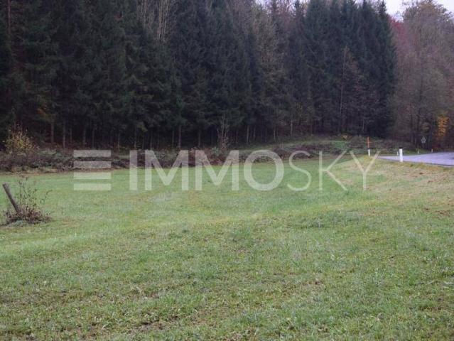 Immobilie kaufen in Gramastetten, Oberösterreich