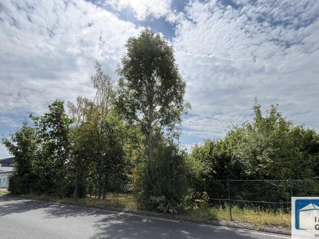 Erdgeschosswohnung kaufen in Hachenburg, Rheinland-Pfalz