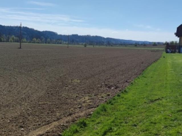Gewerbe kaufen in Heiligenkreuz am Waasen, Steiermark