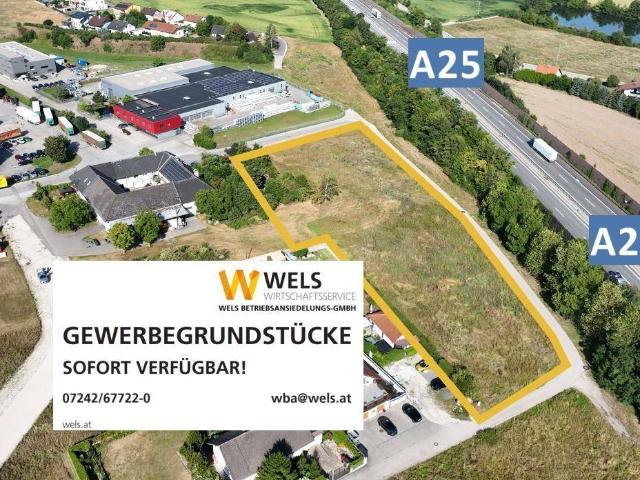 Immobilie kaufen in Oberhart, Wels