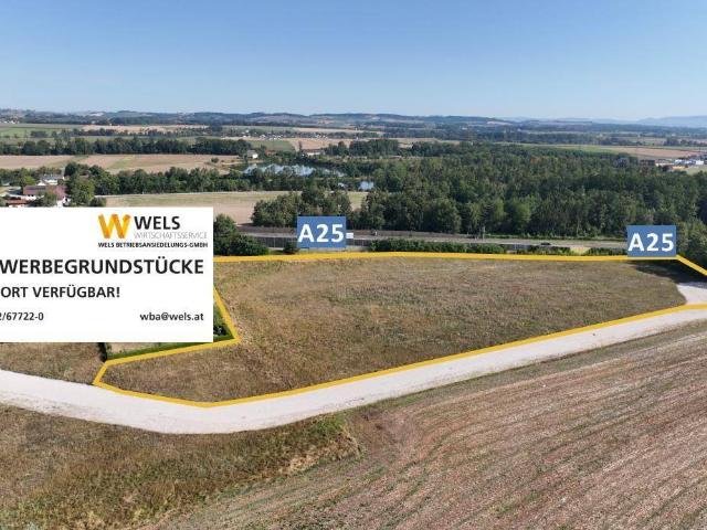 Immobilie kaufen in Oberhart, Wels