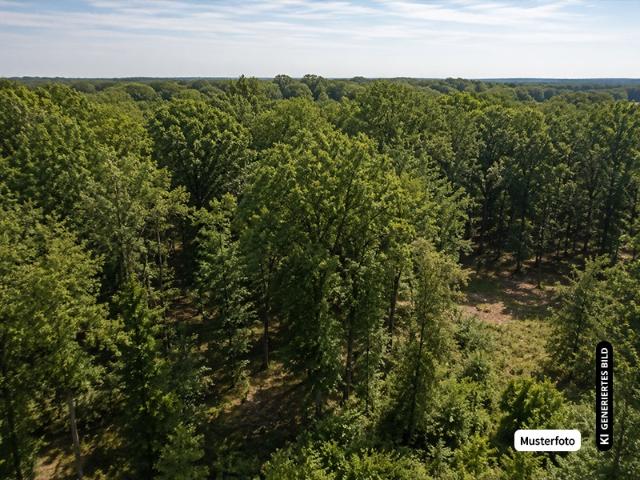 Landwirtschaft kaufen in Oberkaufungen, Kaufungen
