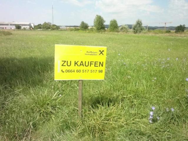 Grundstück kaufen in Burgenland