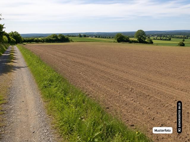 Landwirtschaft kaufen in Nauhain, Hartha