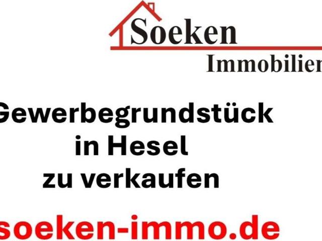 Erdgeschosswohnung kaufen in Hesel, Landkreis Leer