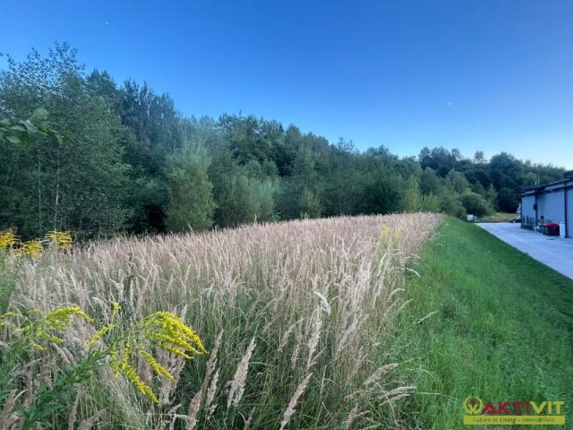 Grundstück kaufen in Langenwang, Steiermark