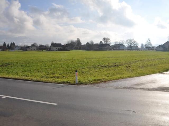 Immobilie kaufen in Meiningen, Vorarlberg