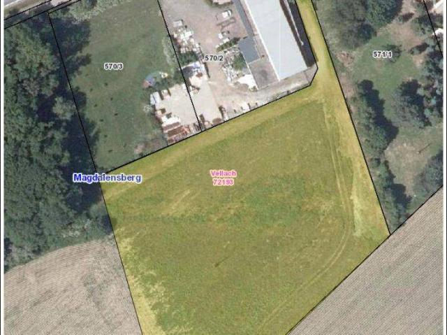 Immobilie kaufen in Pischeldorf, Kärnten