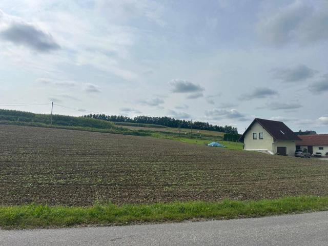 Immobilie kaufen in Wieshof, Krenglbach