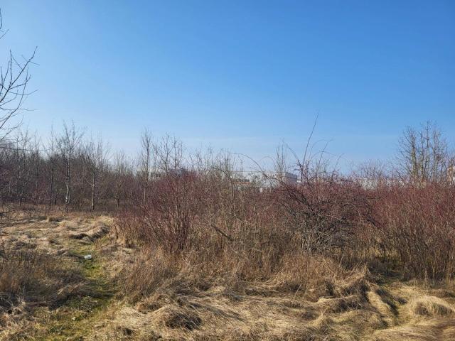 Immobilie kaufen in Wels, Oberösterreich