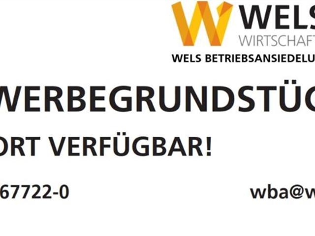 Gewerbe kaufen in Gartenstadt, Wels