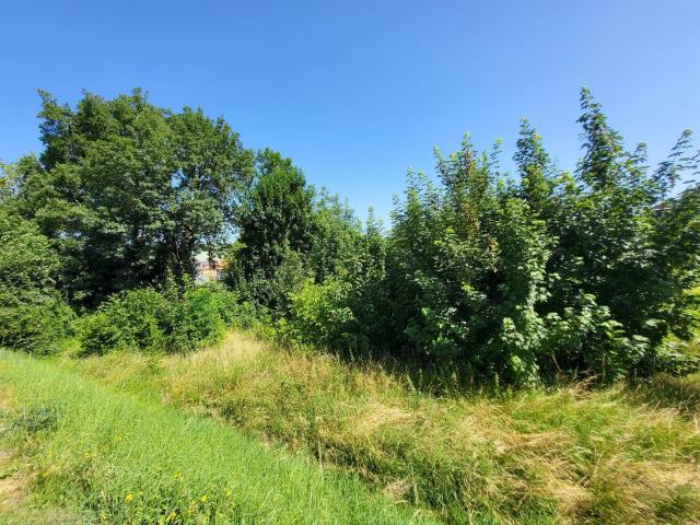 Immobilie kaufen in Enzenwinkl, Leonding