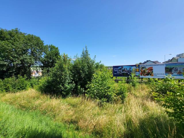 Immobilie kaufen in Enzenwinkl, Leonding