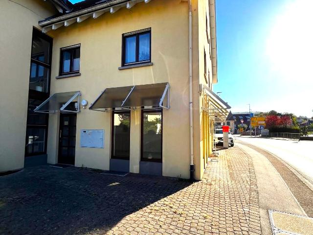 Wohnung kaufen in Schliengen, Landkreis Lörrach
