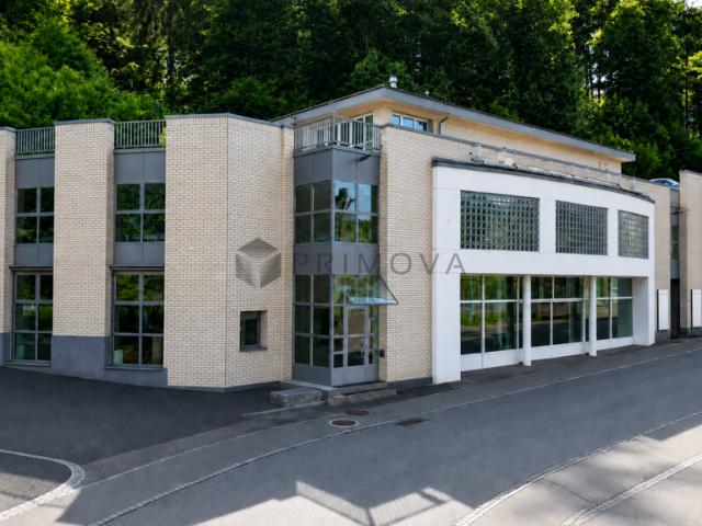 Immobilie kaufen in Glarus