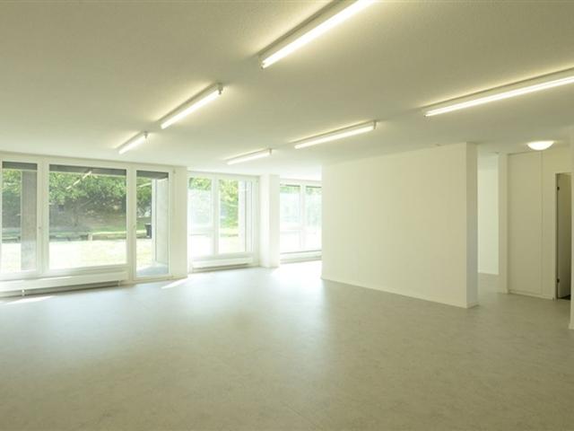 Atelier mieten in Schlieren, Zürich