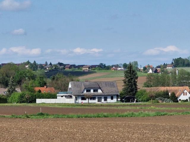 Haus kaufen in Frauental, Steiermark