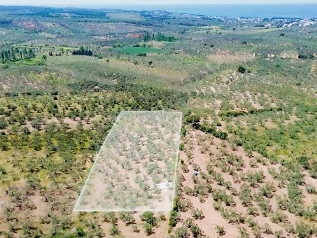 Ezine, Çanakkale içerisinde satılık mülk