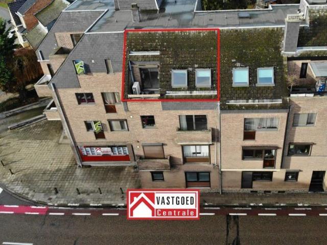 Kot location à Looz, Limburg