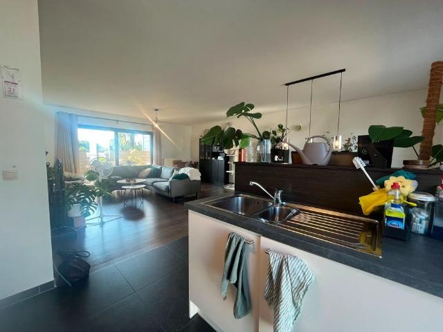 Appartement location à Mol, Antwerpen