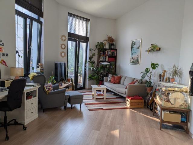 Kot location à Zuid, Antwerpen