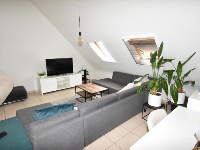 Appartement location à Westerlo, Antwerpen