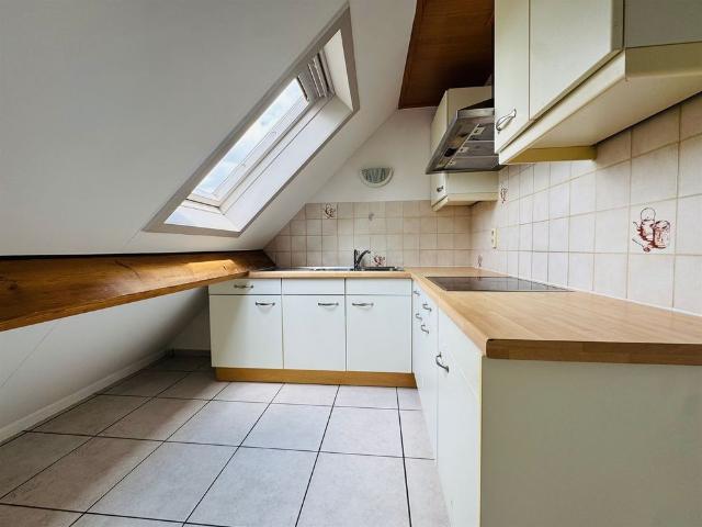 Appartement location à Tamise, Oost-Vlaanderen